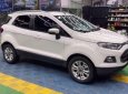 Ford EcoSport Titanium 2014 - Bán Ford EcoSport Titanium sản xuất năm 2014, màu trắng