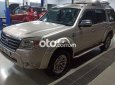 Ford Everest   2.5MT 2009 - Cần bán lại xe Ford Everest 2.5MT năm sản xuất 2009, màu bạc chính chủ