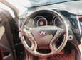 Hyundai Sonata 2010 - Bán Hyundai Sonata 2.0 năm sản xuất 2010 màu đen huyền bí, nhập Hàn trang bị full option