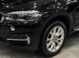 BMW X5 xDrive35i 2017 - BMW X5 xDrive35i sản xuất năm 2017- cam kết check hãng - hỗ trợ bank 70%