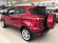 Ford EcoSport 1.5 Titanium 2019 - Bán ô tô Ford EcoSport 1.5 Titanium năm sản xuất 2019, màu đỏ, giá 510tr