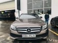 Mercedes-Benz E250 2017 - Bán Mercedes E250 sản xuất 2017, màu nâu