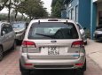 Ford Escape   XLT 2008 - Cần bán lại xe Ford Escape XLT sản xuất 2008, màu ghi vàng