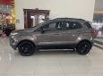 Ford EcoSport 2016 - Bán xe Ford EcoSport 1.5AT sản xuất năm 2016