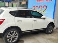 Nissan Qashqai 2010 - Bán Nissan Qashqai LE 2010, màu trắng