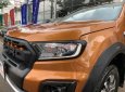 Ford Ranger 2019 - Bán ô tô Ford Ranger sản xuất 2019, nhập khẩu nguyên chiếc