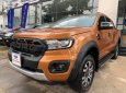 Ford Ranger 2019 - Bán ô tô Ford Ranger sản xuất 2019, nhập khẩu nguyên chiếc