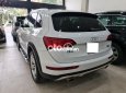 Audi Q5 2016 - Cần bán xe Audi Q5 2.0 TFSI Quattro sản xuất năm 2016, nhập khẩu