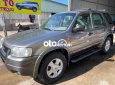 Ford Escape 2002 - Cần bán xe Ford Escape 3.0 năm 2002, màu xám