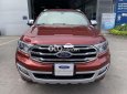 Ford Everest 2020 - Bán ô tô Ford Everest Titanium 2.0AT 4x2 năm 2020, nhập khẩu số tự động