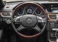 Mercedes-Benz E400 2015 - Bán Mercedes E400 AMG sản xuất năm 2015