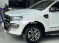 Ford Ranger 2016 - Cần bán xe Ford Ranger Wildtrak 3.2 4x4AT năm sản xuất 2016, màu trắng, nhập khẩu 