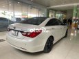 Hyundai Sonata   2010 - Cần bán xe Hyundai Sonata năm 2010, màu trắng