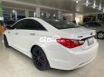 Hyundai Sonata   2010 - Cần bán xe Hyundai Sonata năm 2010, màu trắng