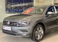 Volkswagen Tiguan 2022 - Giá xe Tiguan Elegance 2022  màu xám Platium độc lạ - Giá tốt nhất miền Nam