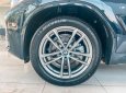 BMW X4 2021 - Bán xe BMW X4 xDrive20i M Sport năm 2021, màu đen