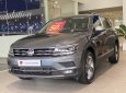 Volkswagen Tiguan 2022 - Giá xe Tiguan Elegance 2022  màu xám Platium độc lạ - Giá tốt nhất miền Nam