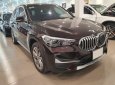 BMW X1 2021 - Bán xe BMW X1 sDrive18i năm sản xuất 2021, màu nâu, nhập khẩu