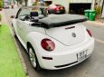 Volkswagen Beetle 2005 - Bán Volkswagen Beetle 2.5L sản xuất 2005, màu trắng, xe nhập số tự động