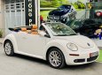 Volkswagen Beetle 2005 - Bán Volkswagen Beetle 2.5L sản xuất 2005, màu trắng, xe nhập số tự động