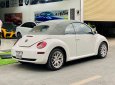 Volkswagen Beetle 2005 - Bán Volkswagen Beetle 2.5L sản xuất 2005, màu trắng, xe nhập số tự động