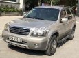 Ford Escape 2007 - Bán xe Ford Escape sản xuất năm 2007, màu xám xe gia đình