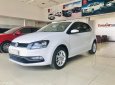 Volkswagen Polo 2017 - Bán Volkswagen Polo năm 2017 một chủ - cam kết bảo hành