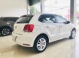 Volkswagen Polo 2017 - Bán Volkswagen Polo năm 2017 một chủ - cam kết bảo hành