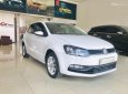 Volkswagen Polo 2017 - Bán Volkswagen Polo năm 2017 một chủ - cam kết bảo hành