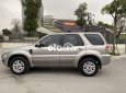 Ford Escape 2009 - Cần bán gấp Ford Escape 2.3L sản xuất năm 2009, màu bạc còn mới