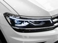 Volkswagen Tiguan 2020 - Bán Volkswagen Tiguan Elegance sản xuất 2020, màu trắng, nhập khẩu