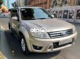 Ford Escape 2009 - Cần bán lại xe Ford Escape XLT 4x4 2009, màu vàng