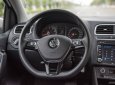 Volkswagen Polo 2022 - Bán Volkswagen Polo 1.6 năm 2022, màu xám, nhập khẩu nguyên chiếc