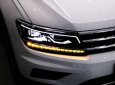 Volkswagen Tiguan 2020 - Bán Volkswagen Tiguan Elegance sản xuất 2020, màu trắng, nhập khẩu