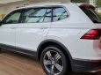 Volkswagen Tiguan 2020 - Bán ô tô Volkswagen Tiguan năm sản xuất 2020, màu trắng, nhập khẩu