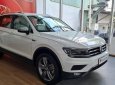 Volkswagen Tiguan 2020 - Bán ô tô Volkswagen Tiguan năm sản xuất 2020, màu trắng, nhập khẩu