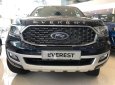 Ford Everest 2022 - Cần bán Ford Everest sản xuất năm 2022, màu đen, nhập khẩu