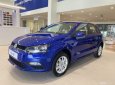 Volkswagen Polo 2022 - Volkswagen Polo 1.6 Hatchback 2022 - Miễn phí lệ phí trước bạ- LH Hotline KD: 093 2168 093