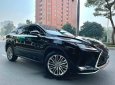Lexus RX 300 2021 - Bán Lexus RX300 2021 đẹp nhất Việt Nam