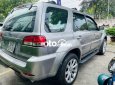 Ford Escape 2010 - Xe Ford Escape sản xuất năm 2010, màu xám còn mới