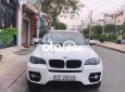 BMW X6 2010 - Bán ô tô BMW X6 năm sản xuất 2010, màu trắng, giá chỉ 550 triệu