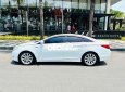 Hyundai Sonata 2010 - Bán Hyundai Sonata sản xuất 2010, màu trắng