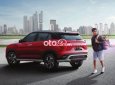 Hyundai Creta 2022 - Bán ô tô Hyundai Creta 1.5L tiêu chuẩn năm 2022, nhập khẩu nguyên chiếc