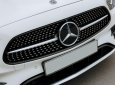 Mercedes-Benz E300 2021 - Cần bán lại xe E300 AMG Mercedes năm 2021, màu trắng, nhập khẩu nguyên chiếc