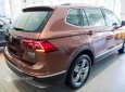 Volkswagen Tiguan 2017 - Xe qua sử dụng chính hãng, hỗ trợ bank 75%, giao xe toàn quốc