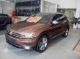 Volkswagen Tiguan 2017 - Xe qua sử dụng chính hãng, hỗ trợ bank 75%, giao xe toàn quốc