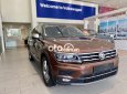 Volkswagen Tiguan 2017 - Màu nâu, xe nhập