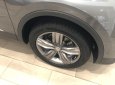 Volkswagen Tiguan 2021 - Giảm đến 65 triệu đồng - Voucher phụ kiện - Quà tặng