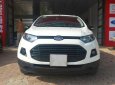 Ford EcoSport 2016 - Cửa nóc