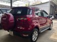 Ford EcoSport 2015 - Chủ sử dụng cực giữ gìn